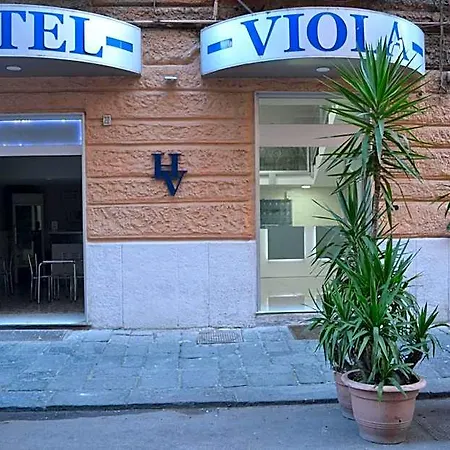 Viola 2*